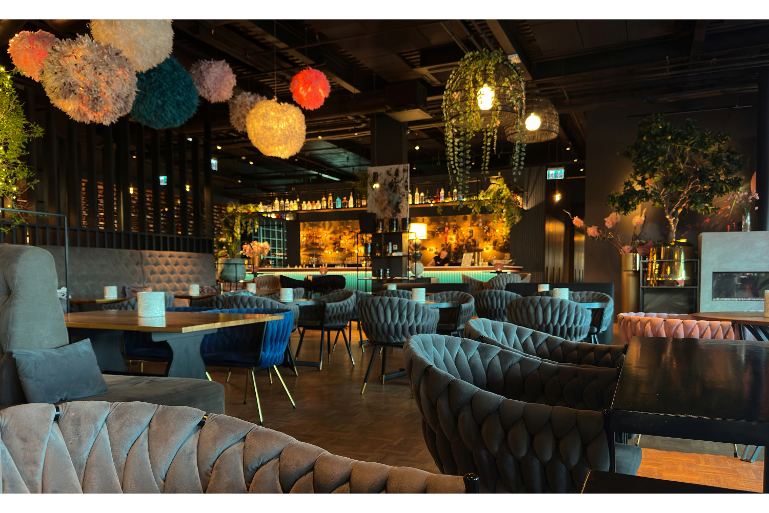 Waar zit het First Dates restaurant?